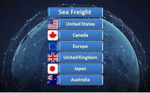 Ocean Sea Freight Agent International Shipping Forwarder Service From China to Europe and America