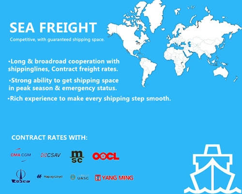FCL LCL Ocean Freight or Shipping Service to Dar Es Salaam Tanzania
