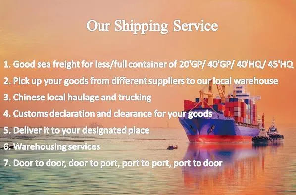 Ocean Sea Freight Agent International Shipping Forwarder Service From China to Europe and America