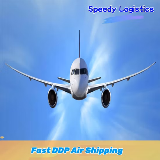 Amazon Fba Ocean Sea Freight Is a Logistics Service From China to The Western United States