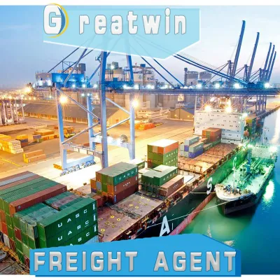Professional and Reliable Global Freight Shiping Agent Sourcing Services Door to Door DDP Services