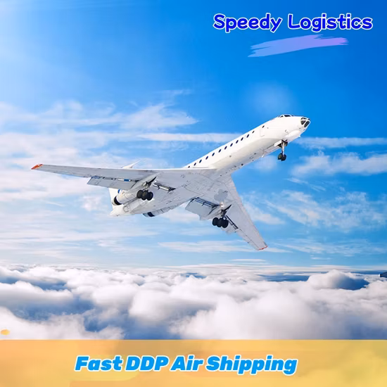 Fast Sea Shipping Logistic Service Amazon Fba Freight Forwarder From China to Japan Europe