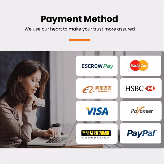 Ocean Sea Freight Agent International Shipping Forwarder Service From China to Europe and America