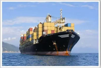 International Shipping Agent Service Forwarder Sea Freight From China to United States