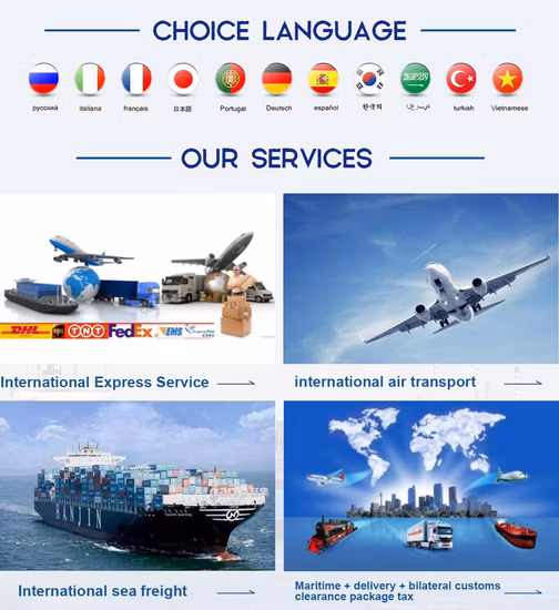 Ocean Sea Freight Agent International Shipping Forwarder Service From China to Europe and America