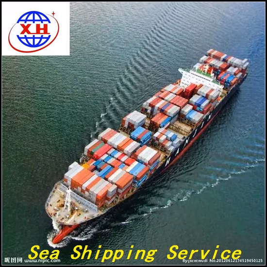 Sea Shipping Agent Container Air Cargo From China to Austria, Belgium, Croatia, Luxemburg Holland Ocean Freight Forwarder Express UPS Railway Train DDP Service