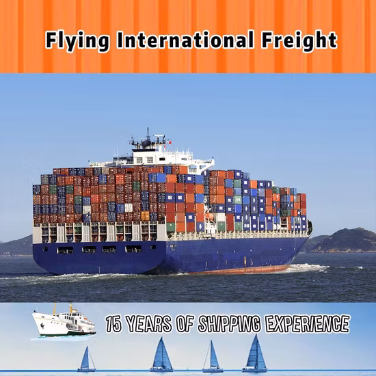 Ocean Sea Freight Agent International Shipping Forwarder Service From China to Europe and America
