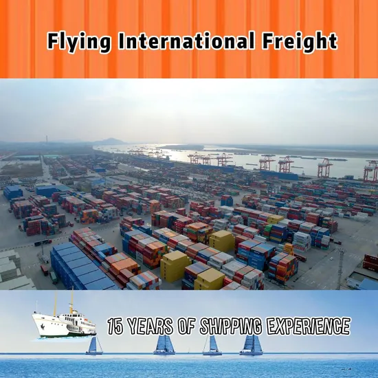 Ocean Sea Freight Agent International Shipping Forwarder Service From China to Europe and America
