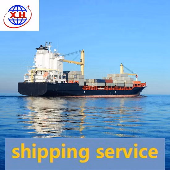 Sea Shipping Agent Container Air Cargo From China to Austria, Belgium, Croatia, Luxemburg Holland Ocean Freight Forwarder Express UPS Railway Train DDP Service