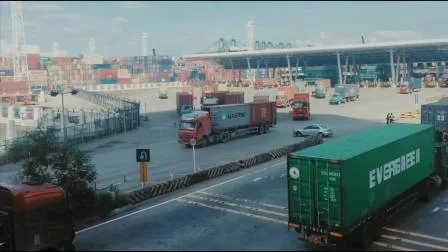 Reliable Customs Clearance From Shenzhen Guangzhou Ningbo Shanghai Xiamen Tianjin Qingdao Port