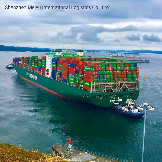 Door to Door Sea Shipping From China to USA Which Includes Customs Clearance and Taxes