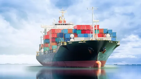 Best Fba Service Sea Freight Forwarder From China to USA/Canada/Mexcio/Auatralia Consolidation Door to Door Including The Customs Clearance