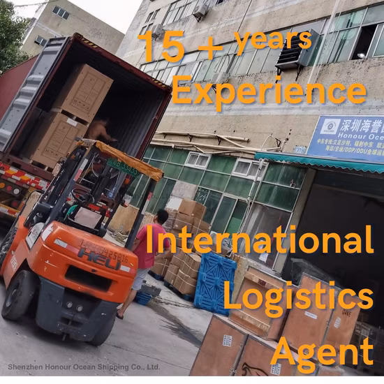 Customs Clearance Services Cargo Ship Cheap Door to Door Services From China