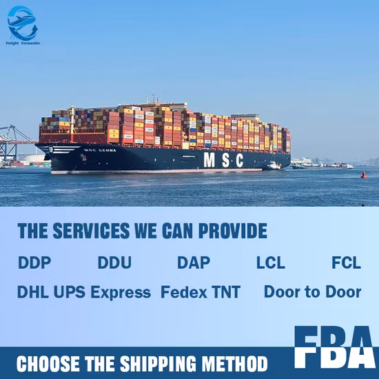 America E-Commerce Logistics with Exclusive Route Air Shipping & Duty Free Service